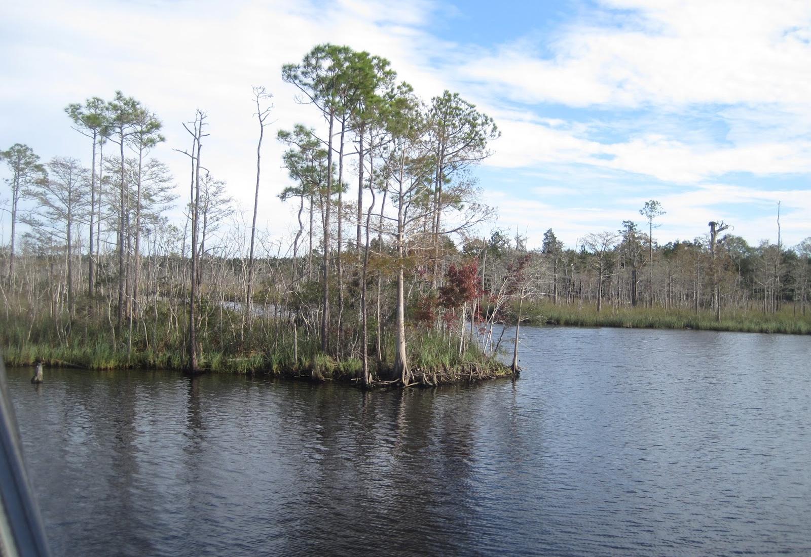 Sandee - Lake Wimico