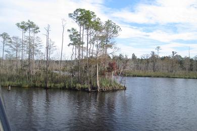 Sandee - Lake Wimico