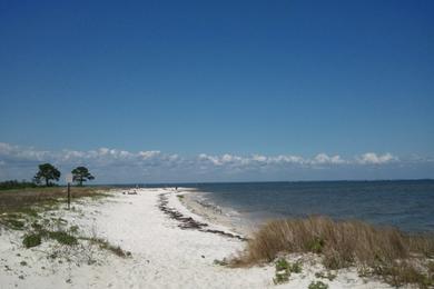 Sandee - Ochlockonee Point