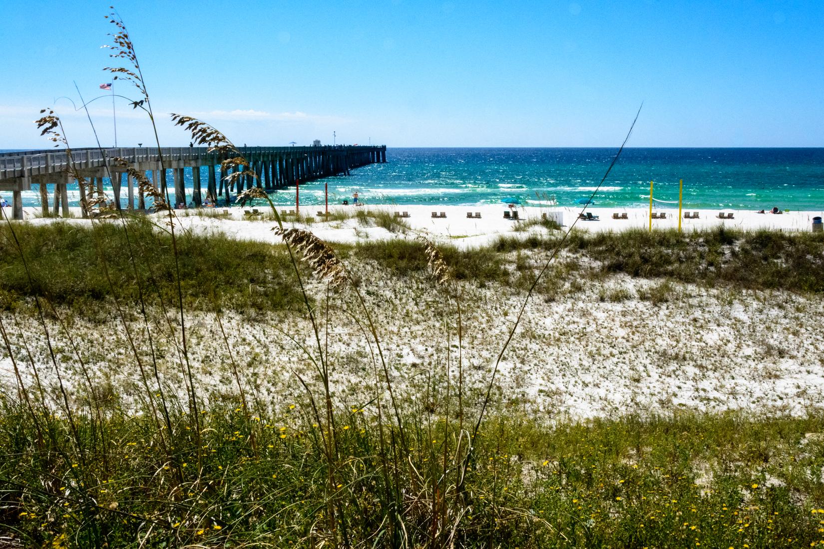 Sandee - M.B. Miller County Pier