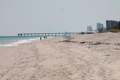 Sandee Pelican Pavilion At Oleta State Park Photo