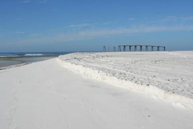 Sandee - Camp Helen State Park Beach