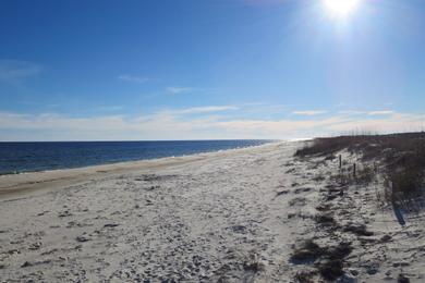 Sandee Cape St. George Island State Reserve Photo