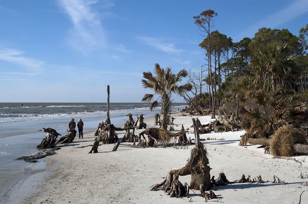 Sandee - Cape San Blas