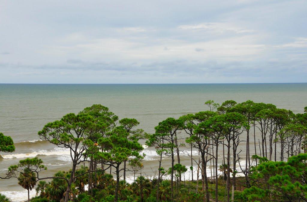 Sandee - Cape San Blas