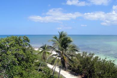 Sandee - Loggerhead Key