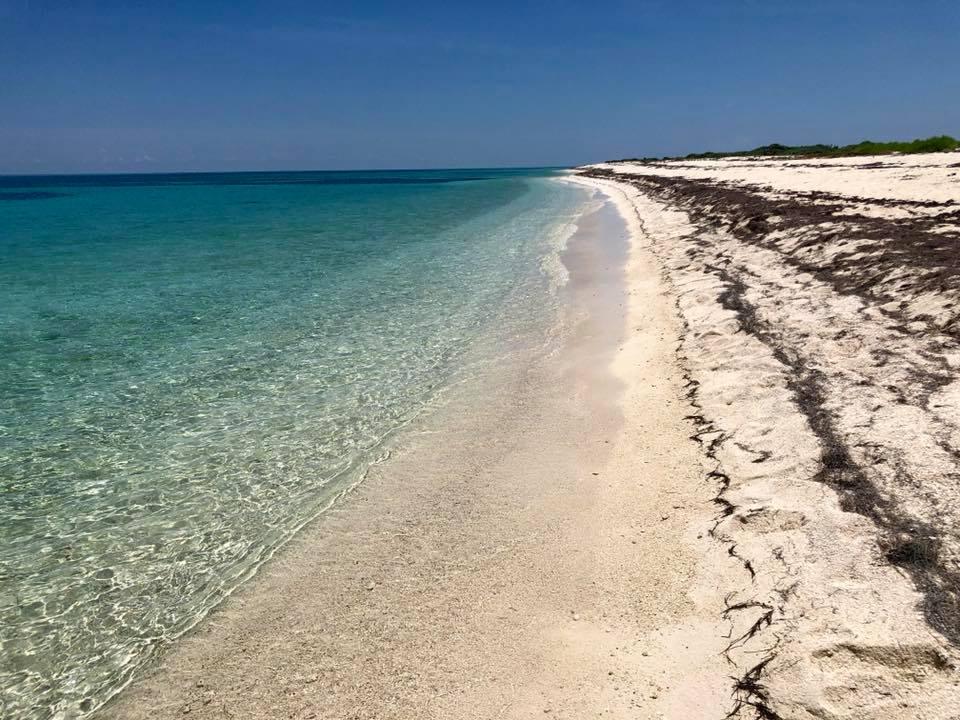 Sandee - Loggerhead Key