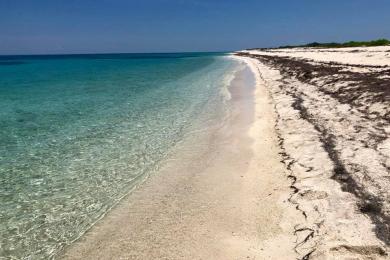 Sandee - Loggerhead Key