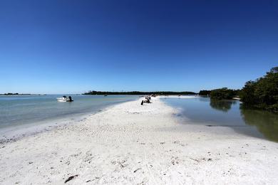 Sandee Dog Beach Photo