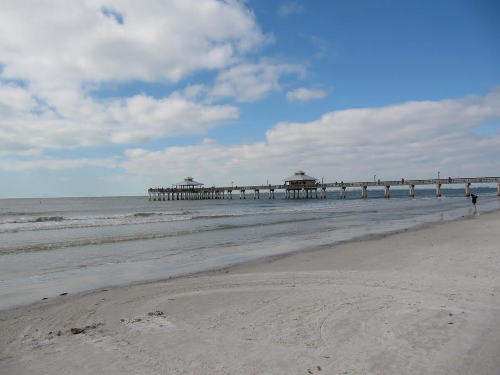 Crescent Beach Florida shells - Picture of Crescent Beach, Florida