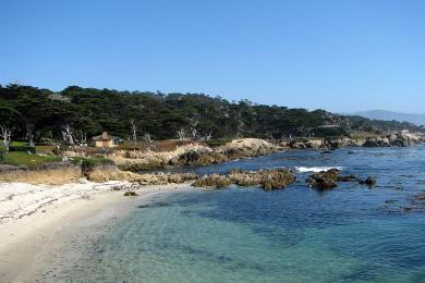 Sandee Cypress Point Park Photo