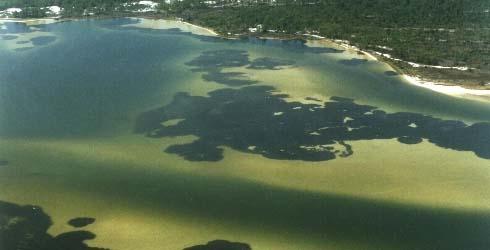 Sandee - Choctawhatchee Bay