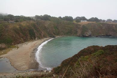 Sandee Big Salmon Creek Beach
