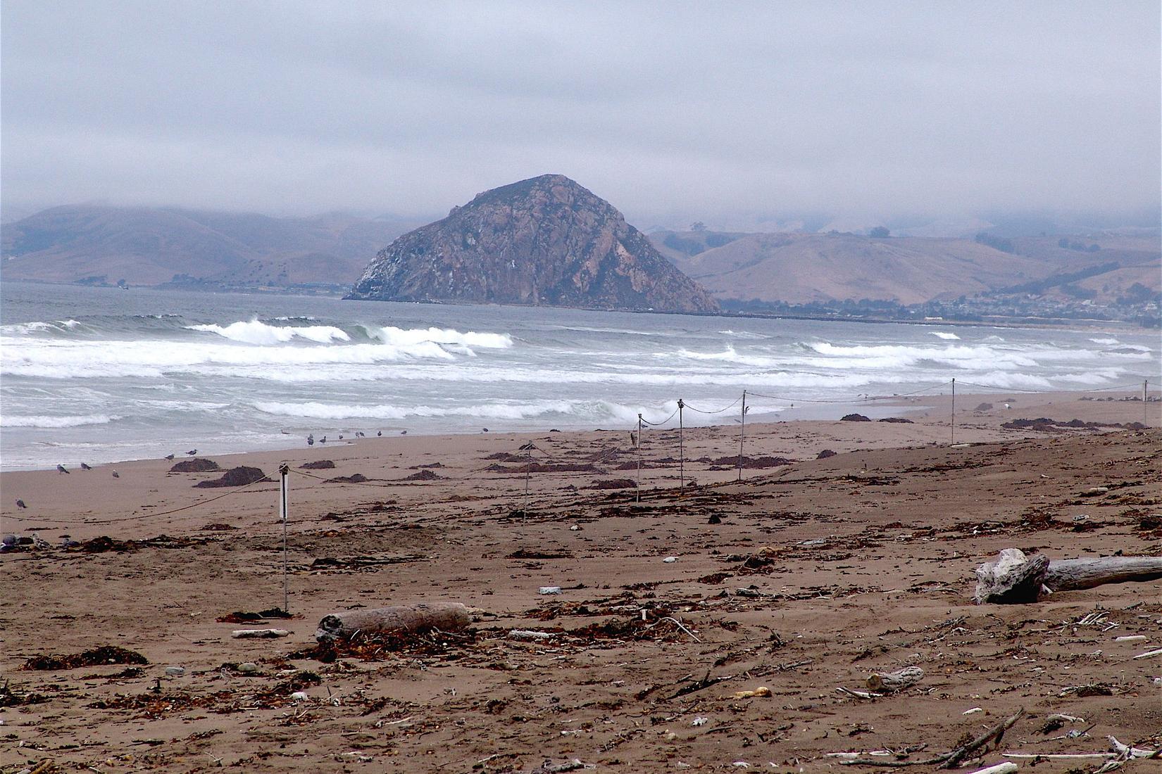 Sandee - Montana De Oro State Park - Sandspit Beach