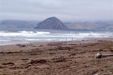 Sandee - Montana De Oro State Park - Sandspit Beach