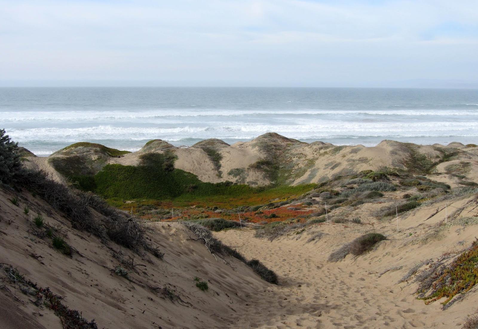 Sandee - Montana De Oro State Park - Sandspit Beach