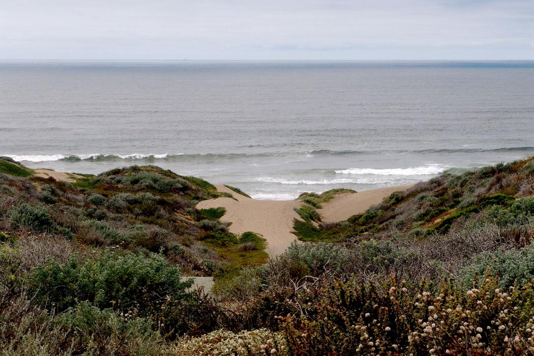 Sandee Montana De Oro State Park - Sandspit Beach