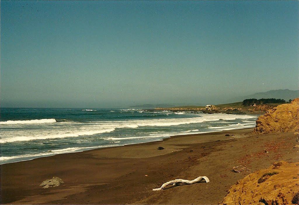 Sandee - North Point Beach