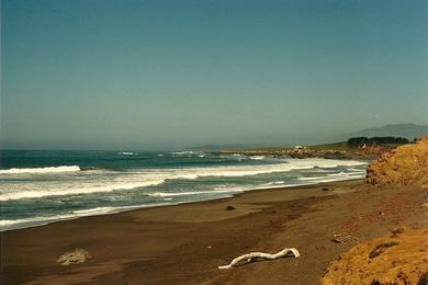 Sandee North Point Beach Photo