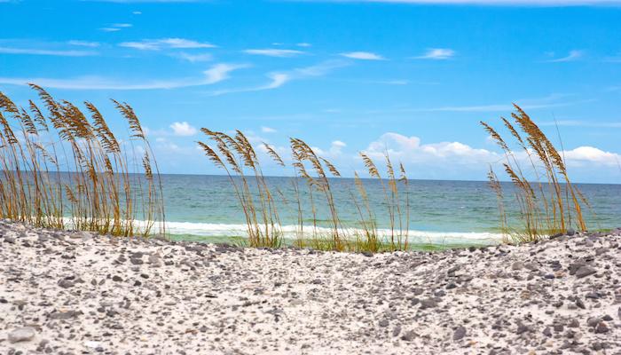 Sandee - Dauphin Island Public Beach