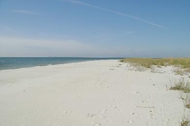 Sandee - Dauphin Island Public Beach