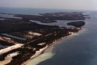 Sandee Coco Plum Beach Photo