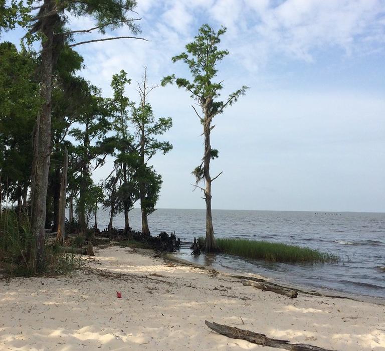 Sandee Fontainebleau Beach Photo