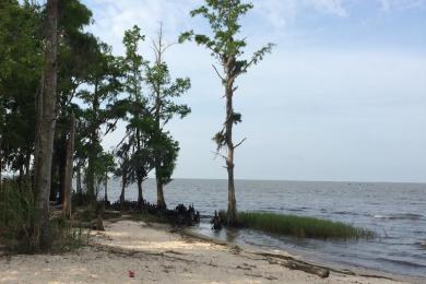 Sandee Fontainebleau Beach Photo