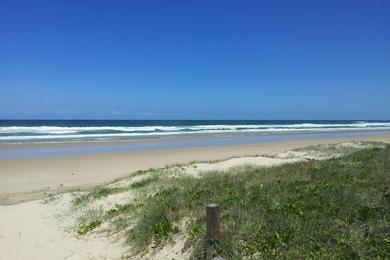 Sandee Shearwater Beach Photo