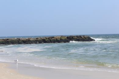 Sandee The Sands At Lido Beach Photo