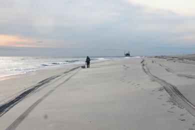 Sandee Cedar Beach Park