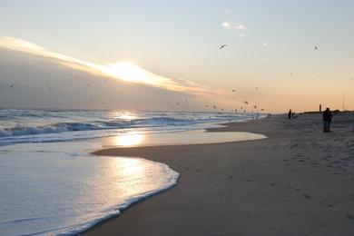 Sandee - Robert Moses State Park Long Island