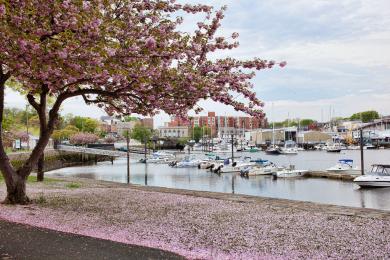 Sandee Mamaroneck Beach And Yacht Club