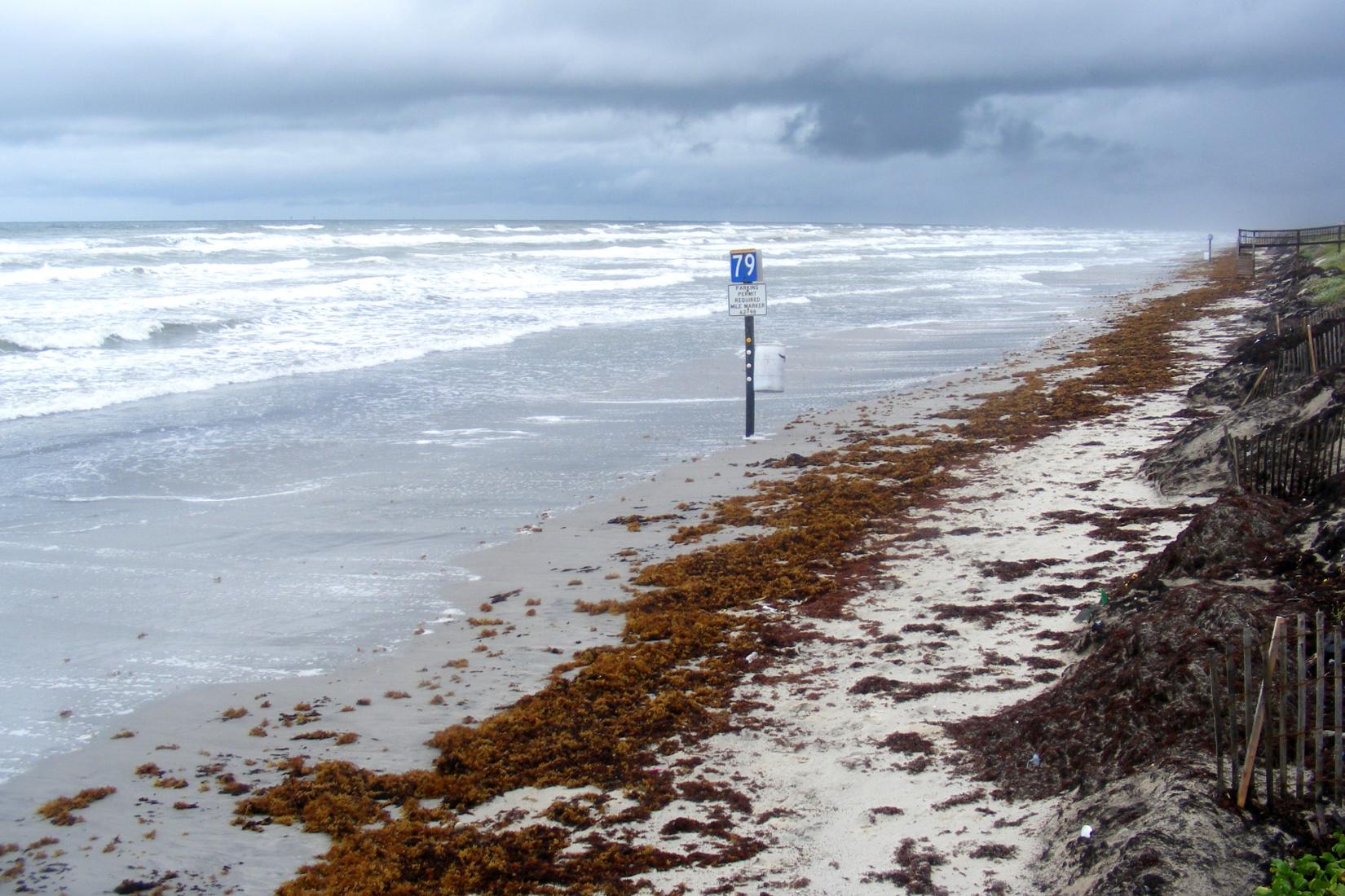 Sandee - Mustang Island State Park Beach