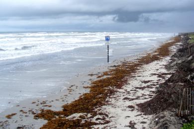 Sandee - Mustang Island State Park Beach