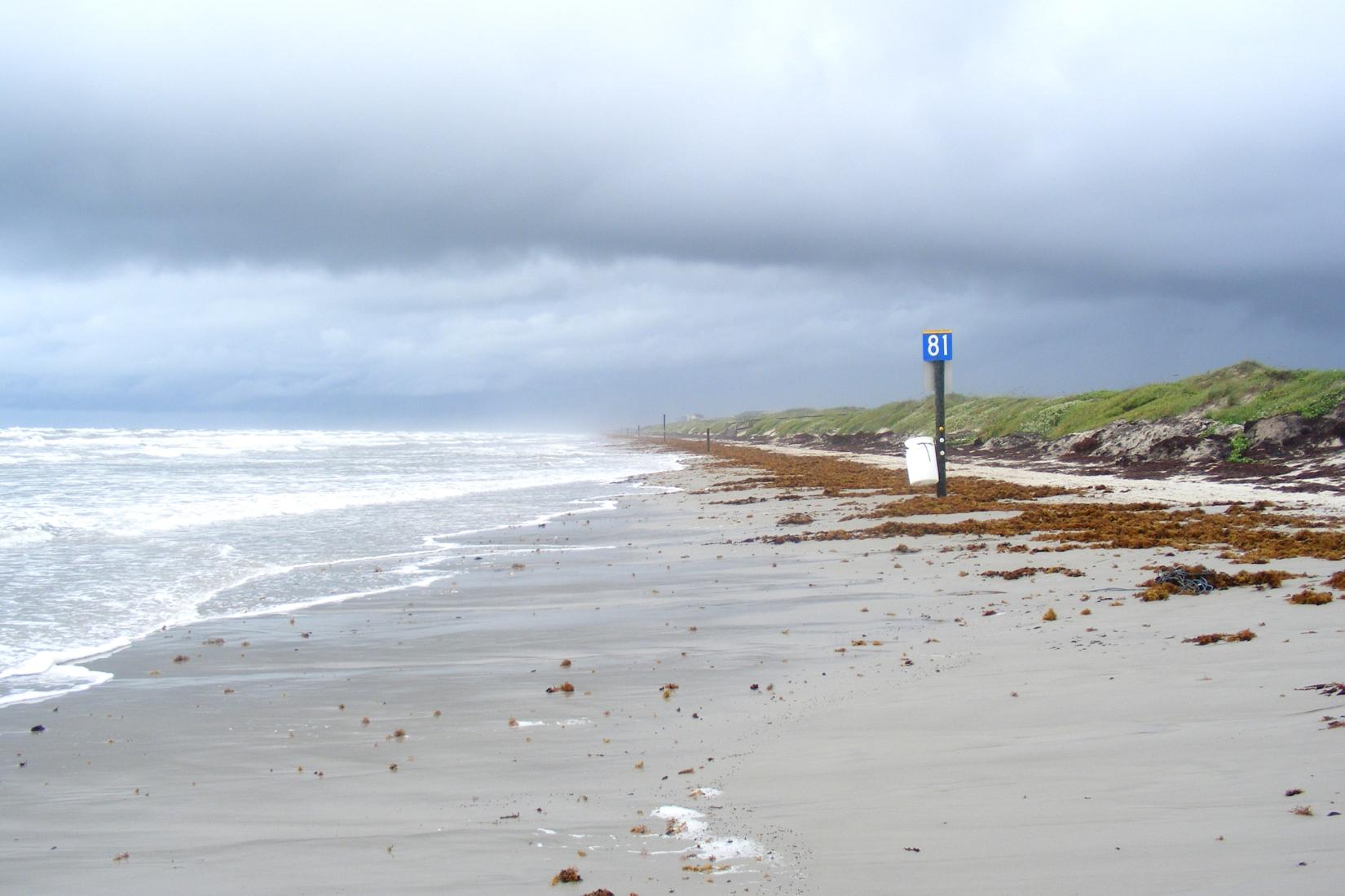 Sandee - Mustang Island State Park Beach