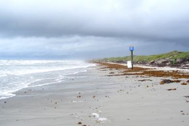 Sandee - Mustang Island State Park Beach