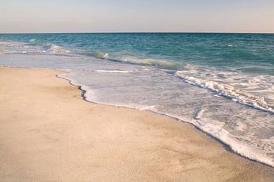 Sandee South Padre Island Beach Photo