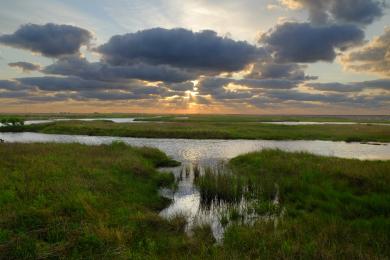 Sandee Sea Rim State Park Photo