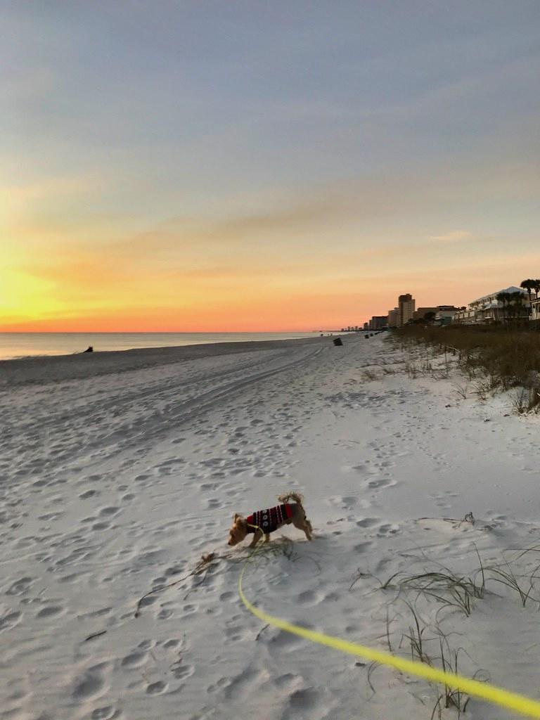 Sandee - Silver Sands Beach