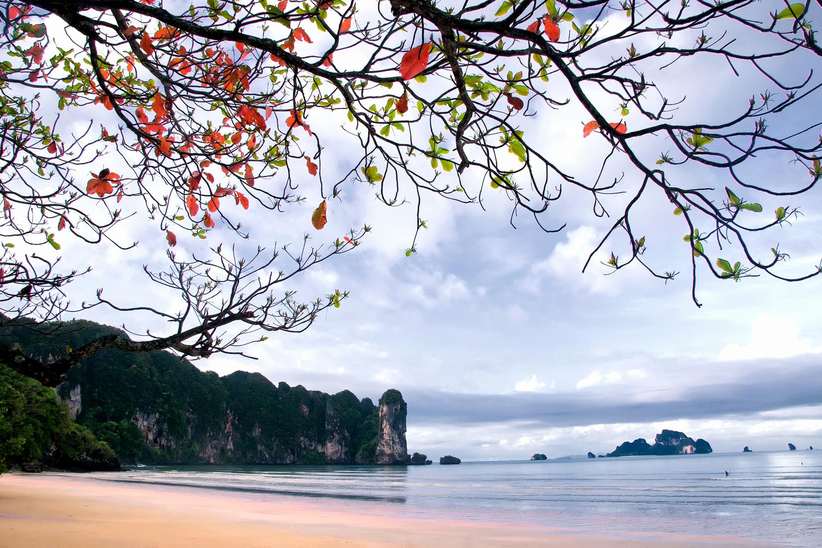 Sandee - HomePage / Patong