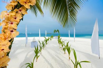 Sandee Mandhoo