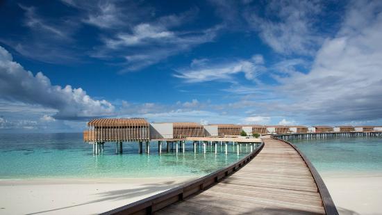 Sandee - Park Hyatt Maldives Hadahaa