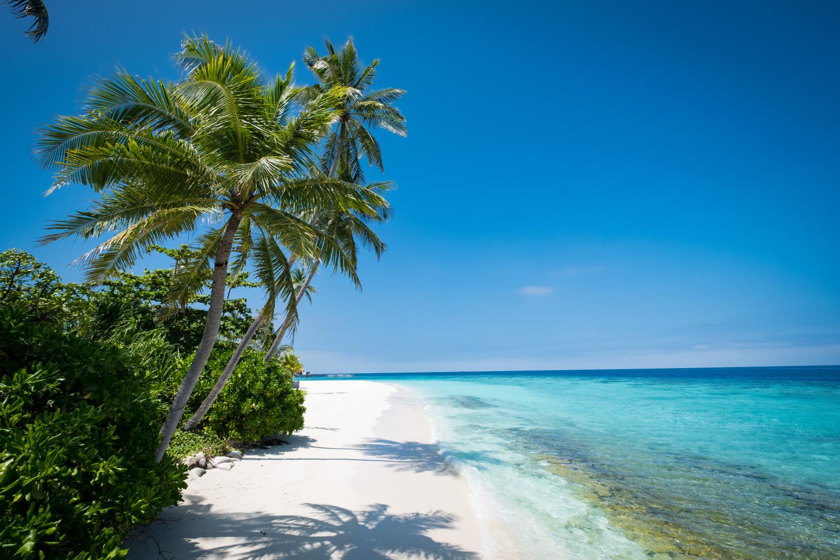 Hadahaa Photo - Sandee