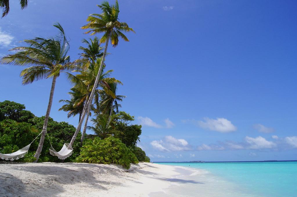 Sandee - HomePage / Iru Fushi
