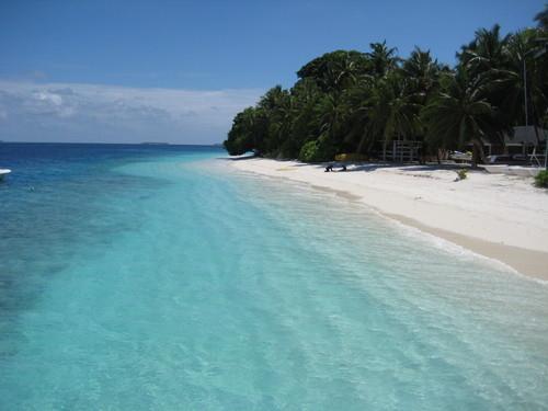 Sandee - Alifushi Island