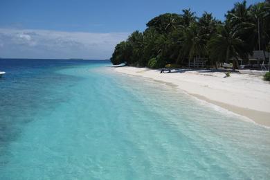 Sandee - Alifushi Island