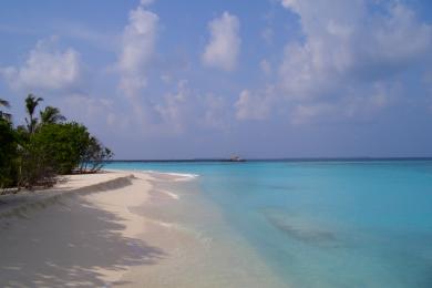 Sandee Nellaidhoo