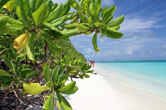 Sandee - Hanimaadhoo