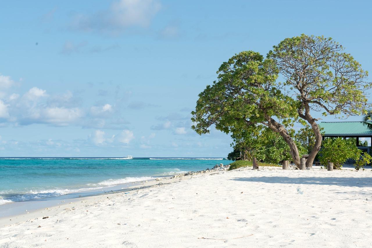 Dharavandhoo Photo - Sandee